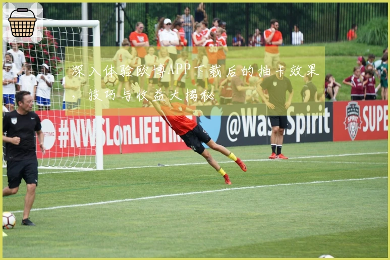 深入体验欧博APP下载后的抽卡效果，技巧与收益大揭秘