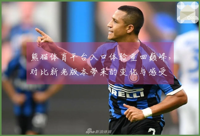 熊猫体育平台入口体验重回巅峰，对比新老版本带来的变化与感受