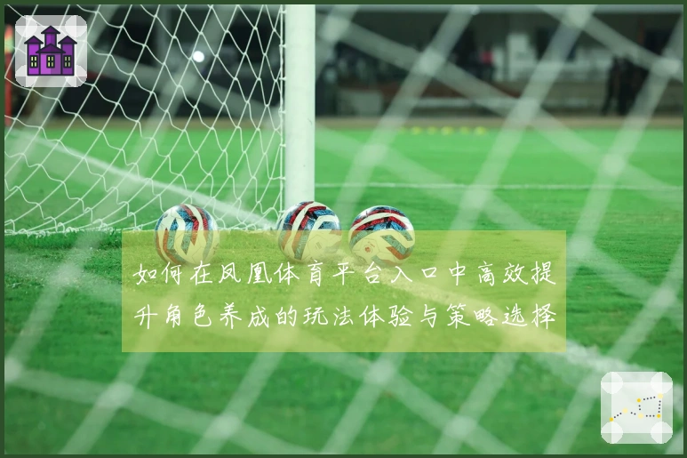 如何在凤凰体育平台入口中高效提升角色养成的玩法体验与策略选择