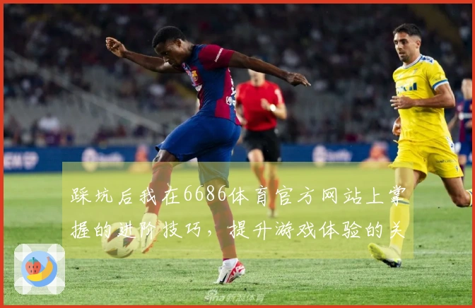 踩坑后我在6686体育官方网站上掌握的进阶技巧，提升游戏体验的关键所在